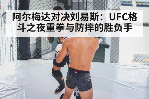 阿尔梅达对决刘易斯：UFC格斗之夜重拳与防摔的胜负手